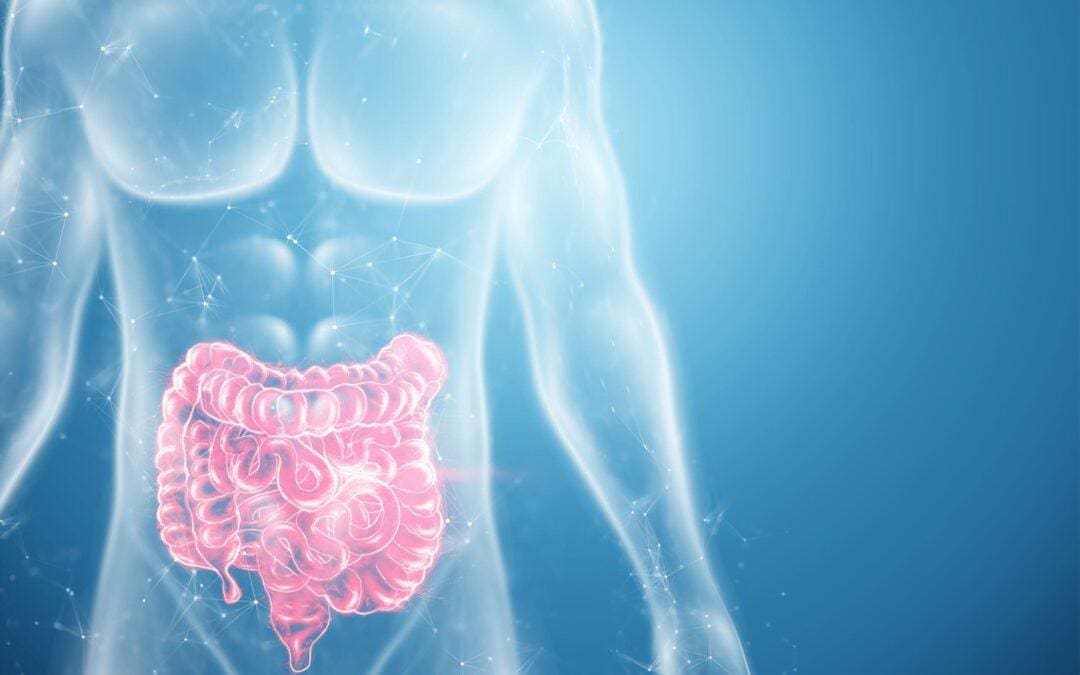 ¿En qué consiste la coloproctología y cuáles enfermedades trata? ¡Te lo explicamos!